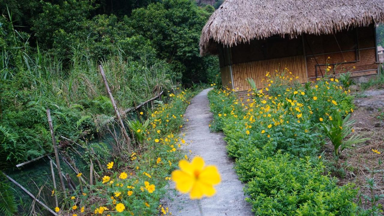 Ninh Binh Valley Homestay Bagian luar foto